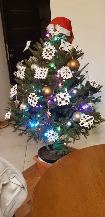 received_2721565921408071.jpeg