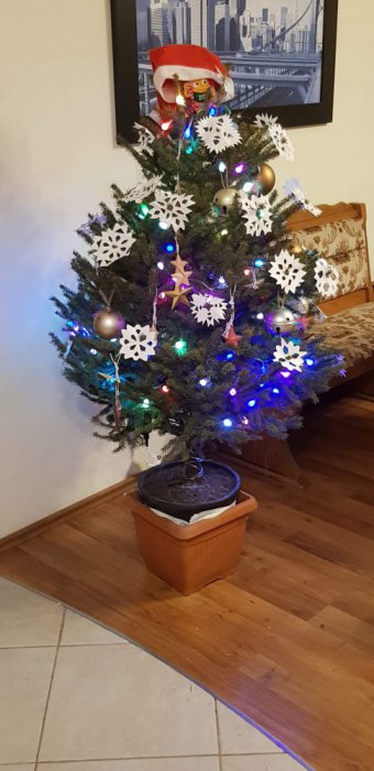 received_570845613734635.jpeg