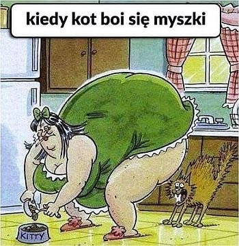 1049826086_kotboisie1.jpg.11a7664d2bf248aa05681da0e8c1c1f8.jpg