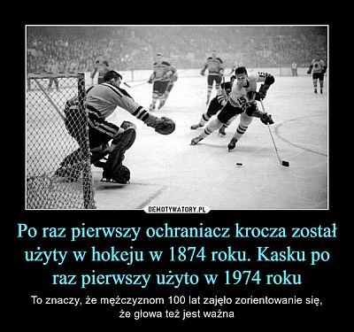 1211560975_1ochraniaczxd.jpg.53ae5135ad42180cd4c7469c110e402f.jpg