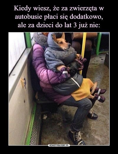 1847341398_biletzadziecko.jpg.3f9560d02046864309bda67193e94782.jpg