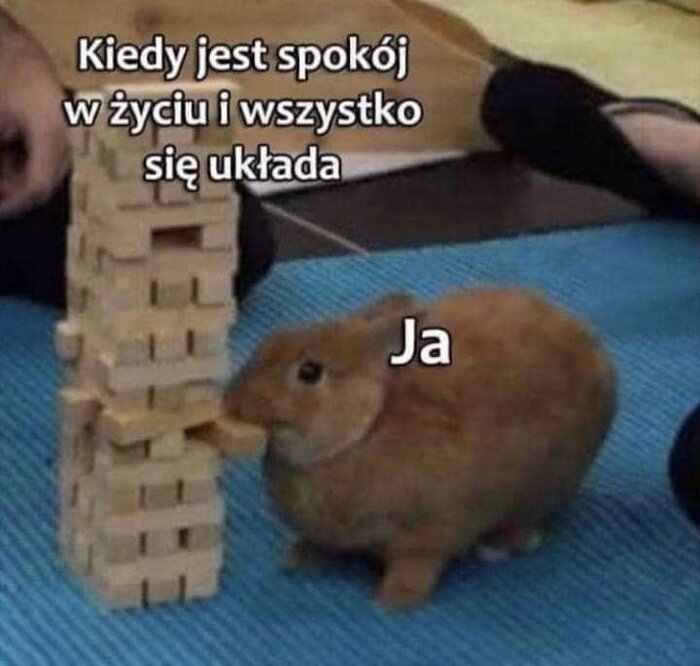 FB_IMG_1603284485209.thumb.jpg.a6db9daa1b06b7969bc131eae9941c8e.jpg