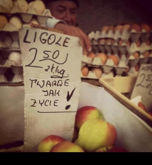 1311371341_reklamaligol.jpg.36d3e1cd5fcfba35c027505be382c27d.jpg