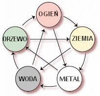 30399025_5przemianschemat.jpg.016292c133dbd8dfe33d7a1c7bf0d176.jpg