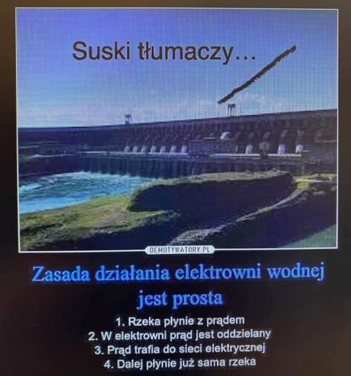 suski tłumaczy.jpg