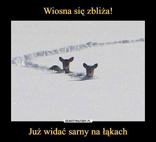 wiosna się.jpg