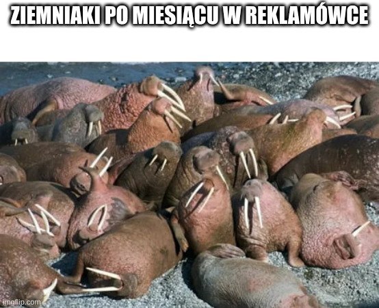 7gefjg.jpg.d3b4659f06006e1f536fc9a9c348ecf1.jpg