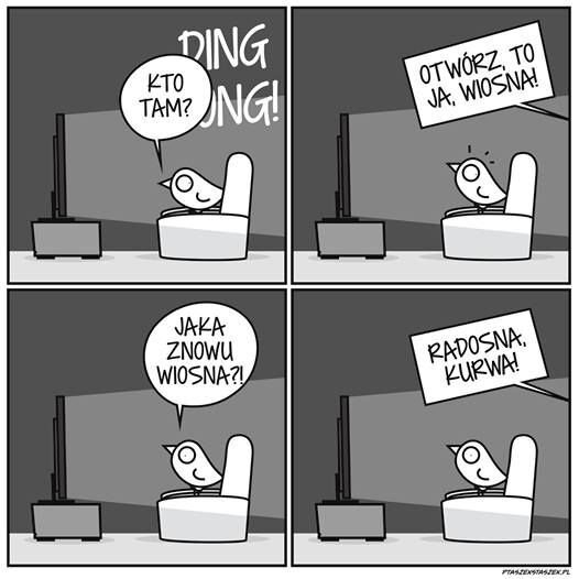 wiosna radosna.jpg