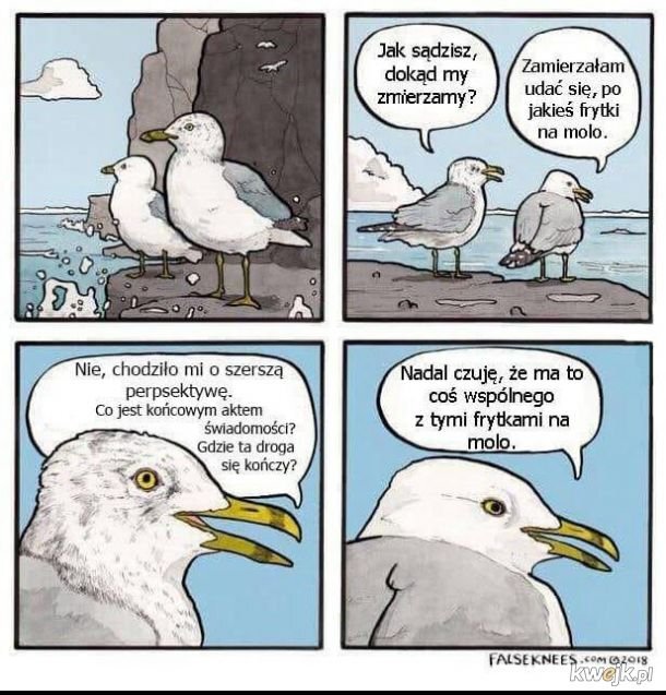 kCxDlSadbzbOpYAZ.jpg